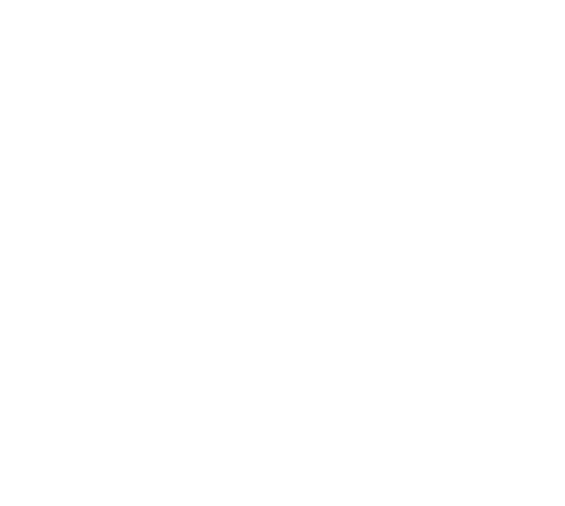 Paris Basketball